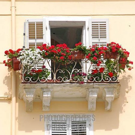цветущий балкон